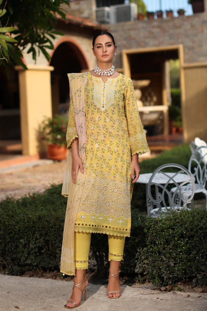 DA-07 Embroidered Lawn Suit