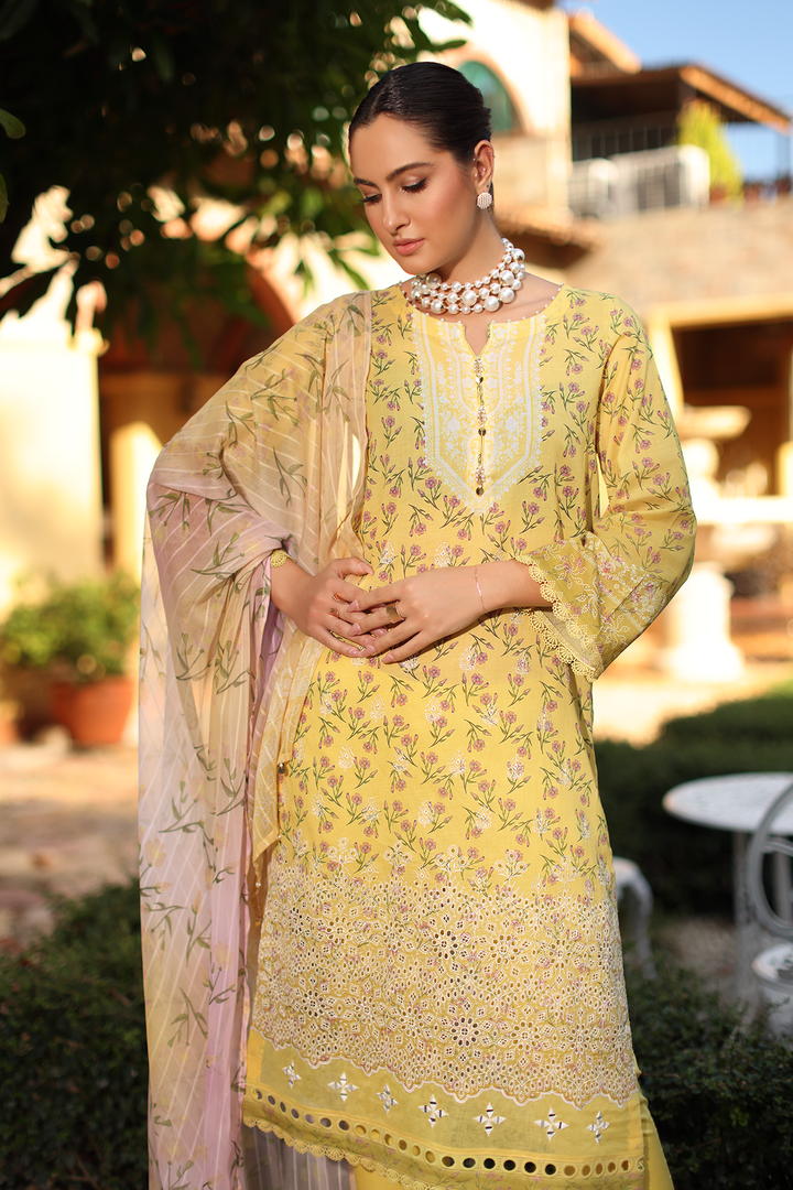 DA-07 Embroidered Lawn Suit