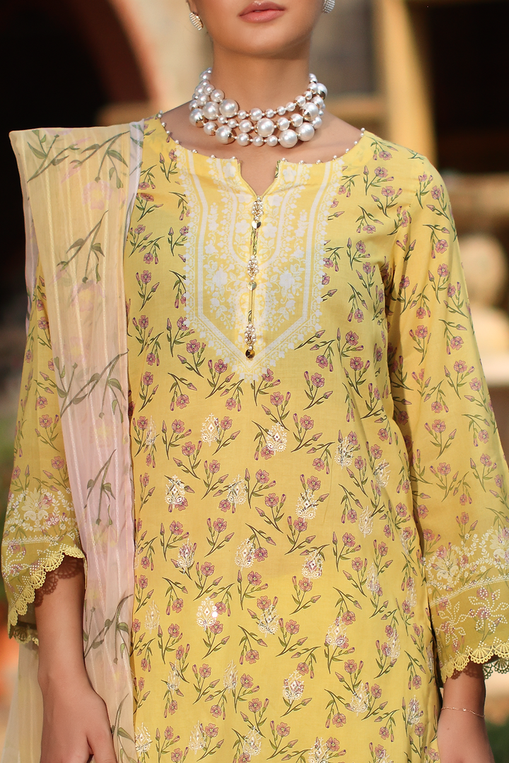 DA-07 Embroidered Lawn Suit